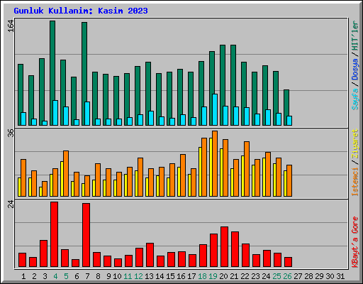 Gunluk Kullanim: Kasim 2023